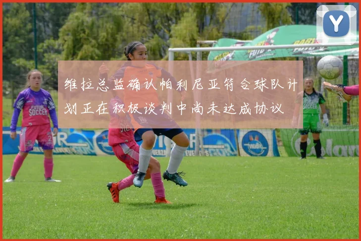 维拉总监确认帕利尼亚符合球队计划正在积极谈判中尚未达成协议